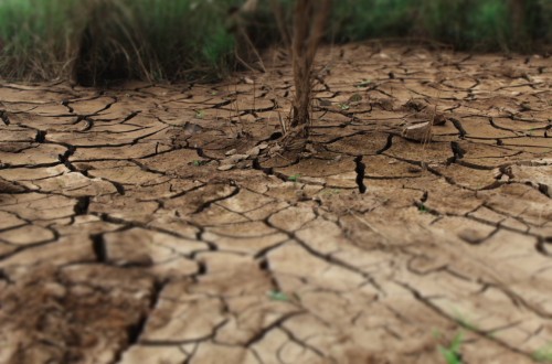 Informe COAG: cada año se pierde el 6% del valor de la producción agraria por el cambio climático