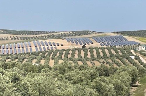 Regantes jienenses denuncian pérdidas al no poder vender los excedentes de energía de su planta fotovoltaica