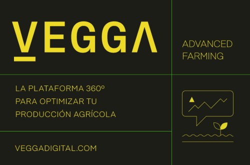 Vegga, la plataforma digital 360º para optimizar la producción agrícola
