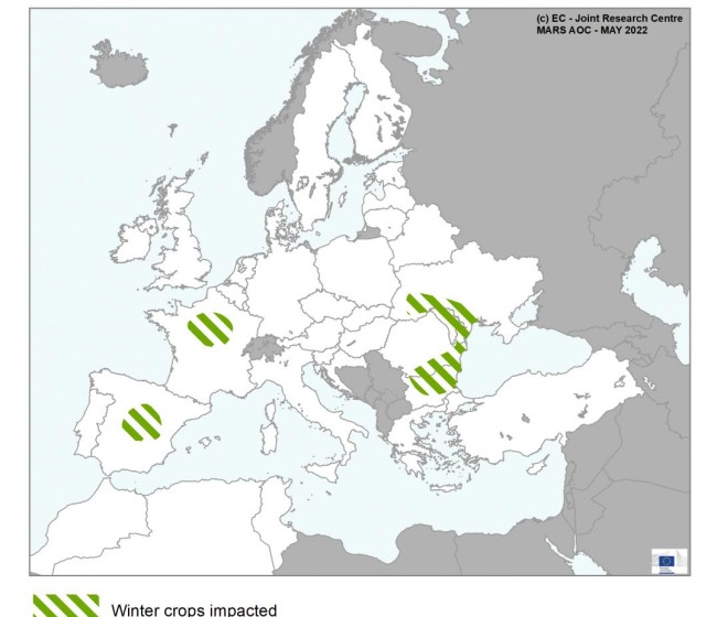 La sequía baja las perspectivas de rendimiento de los cultivos de invierno en Europa