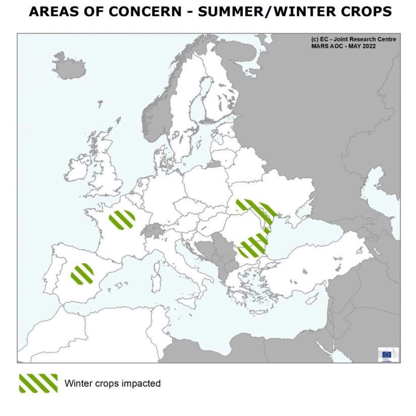 La sequía baja las perspectivas de rendimiento de los cultivos de invierno en Europa