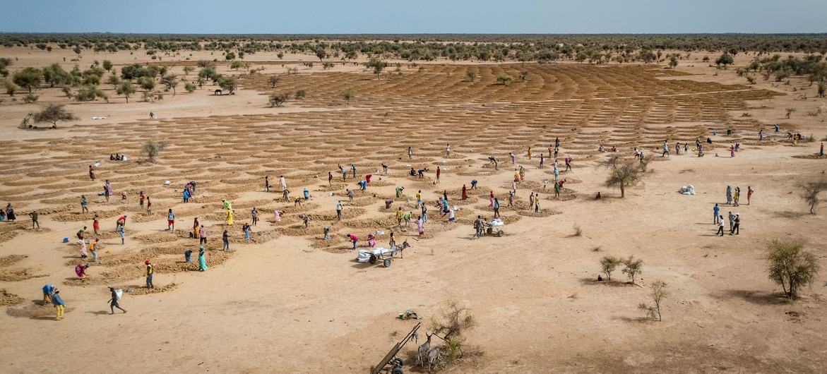 El cambio climático volvió a batir récords por tierra, mar y aire en 2021