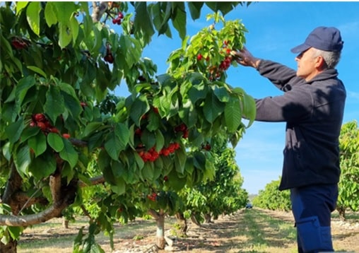 Mayo recuperó empleo y afiliación de los trabajadores agrarios por cuenta propia y ajena