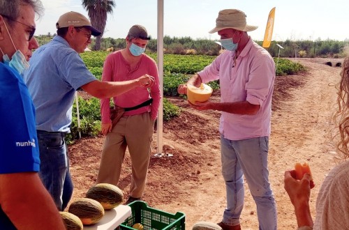 Jornada abierta de las empresas de semillas de melón y sandía en la Región de Murcia