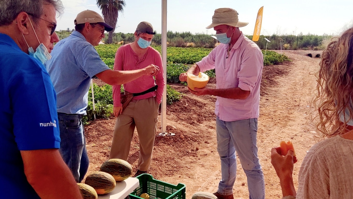 Jornada abierta de las empresas de semillas de melón y sandía en la Región de Murcia