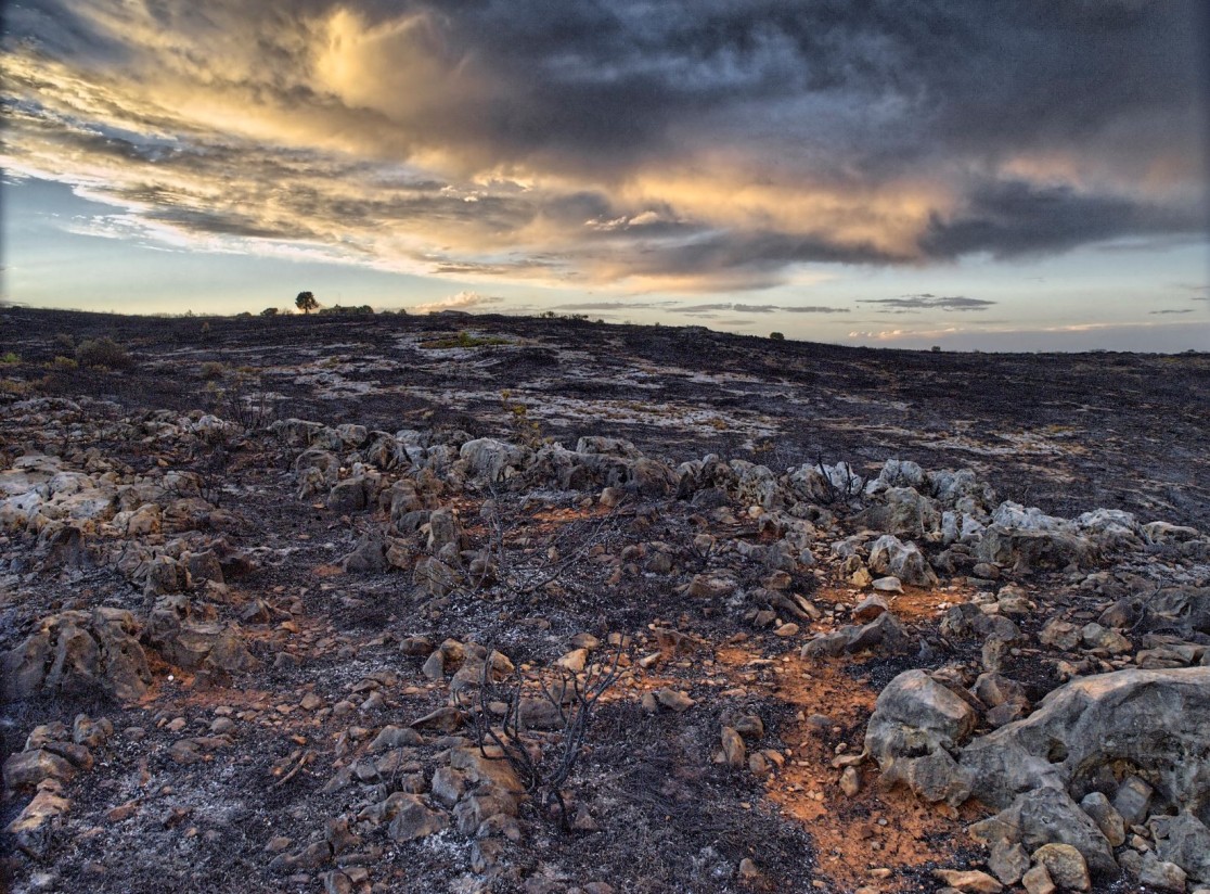 Aprobada la Estrategia Nacional de Lucha contra la Desertificación con medidas y acciones previstas hasta 2030