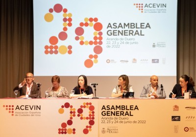 Acevin celebra su XXIX Asamblea General con optimismo tras la reactivación del sector turístico