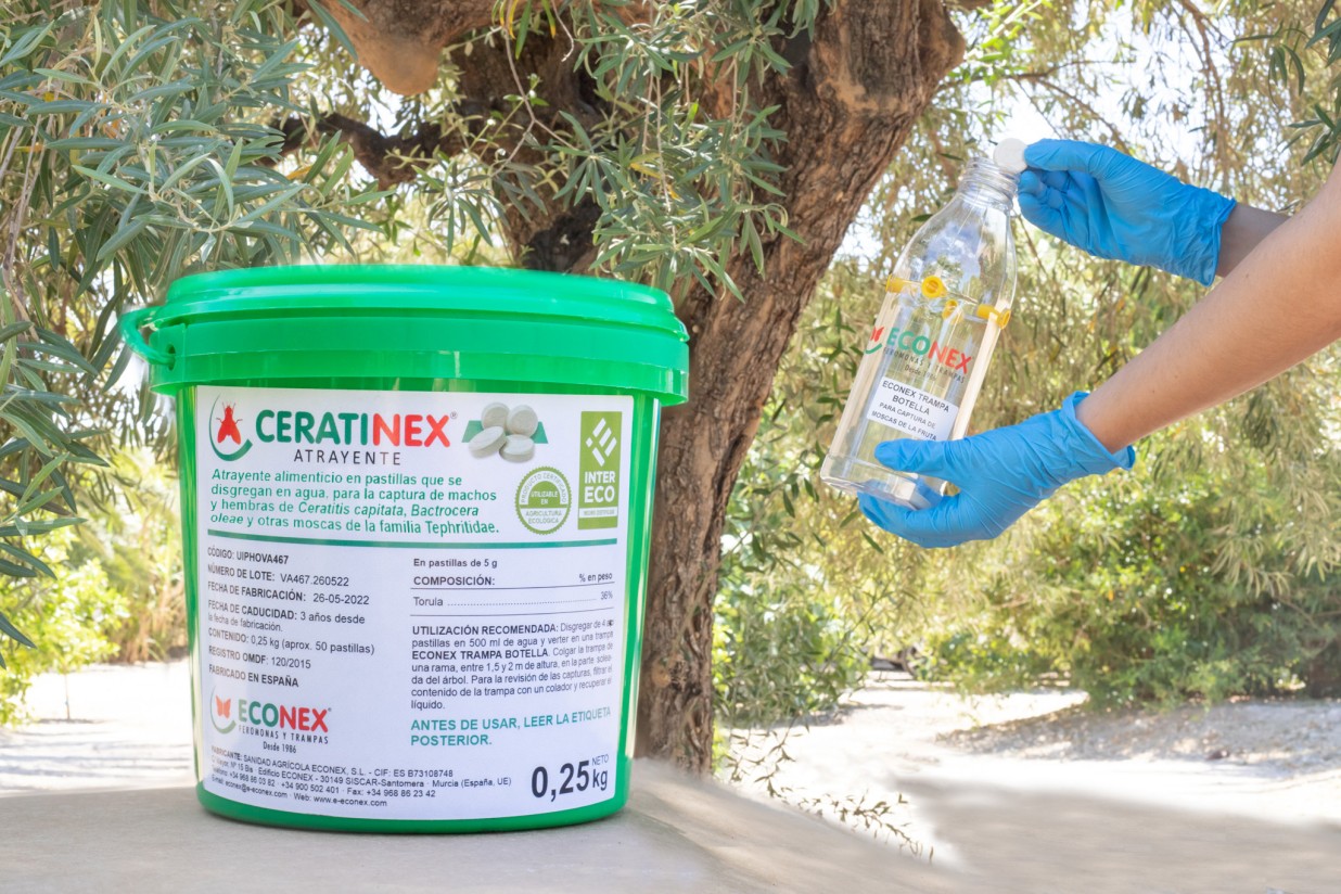 Ceratinex Atrayente, ahora también para el cultivo del olivo