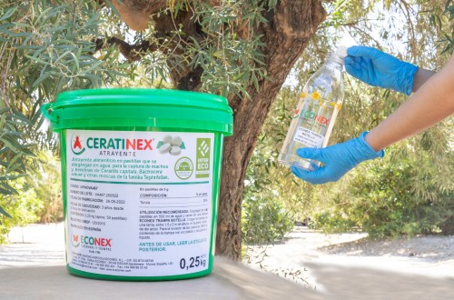 Ceratinex Atrayente, ahora también para el cultivo del olivo