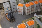 Entran en vigor los «aranceles recíprocos» del 20% a las importaciones estadounidenses desde la UE