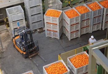 España reduce su superávit alimentario un 0,4% en febrero, hasta los 1.858 millones