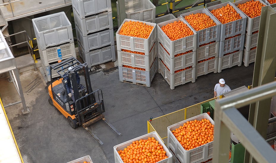 Entran en vigor los «aranceles recíprocos» del 20% a las importaciones estadounidenses desde la UE