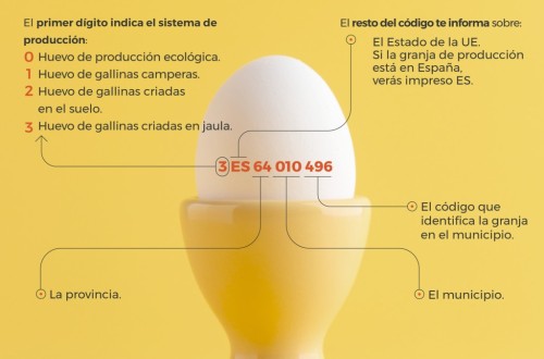 El Instituto de Estudios del Huevo publica «Las 100 preguntas sobre el huevo»
