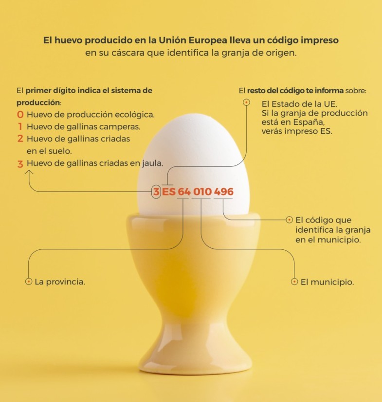 El Instituto de Estudios del Huevo publica «Las 100 preguntas sobre el huevo»