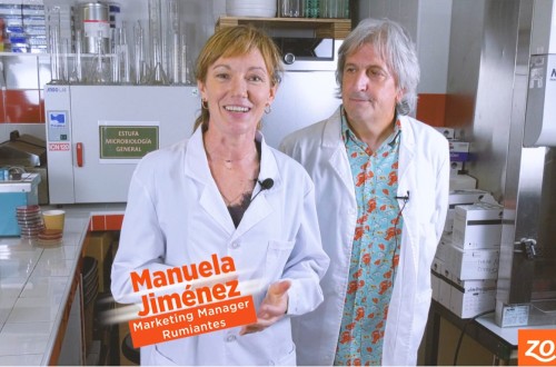 Zoetis lanza nuevos videos online sobre el diagnóstico de ERB