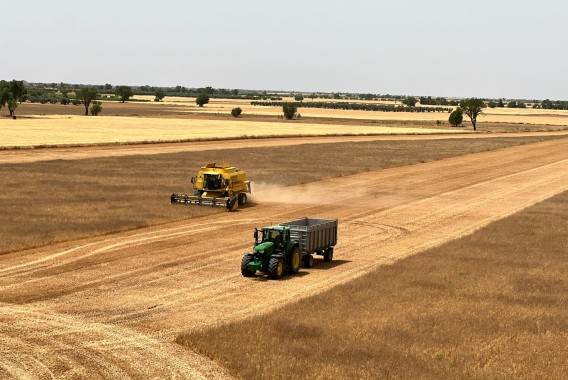 El USDA rebaja en 3,7 millones de toneladas su previsión de producción mundial de cereales
