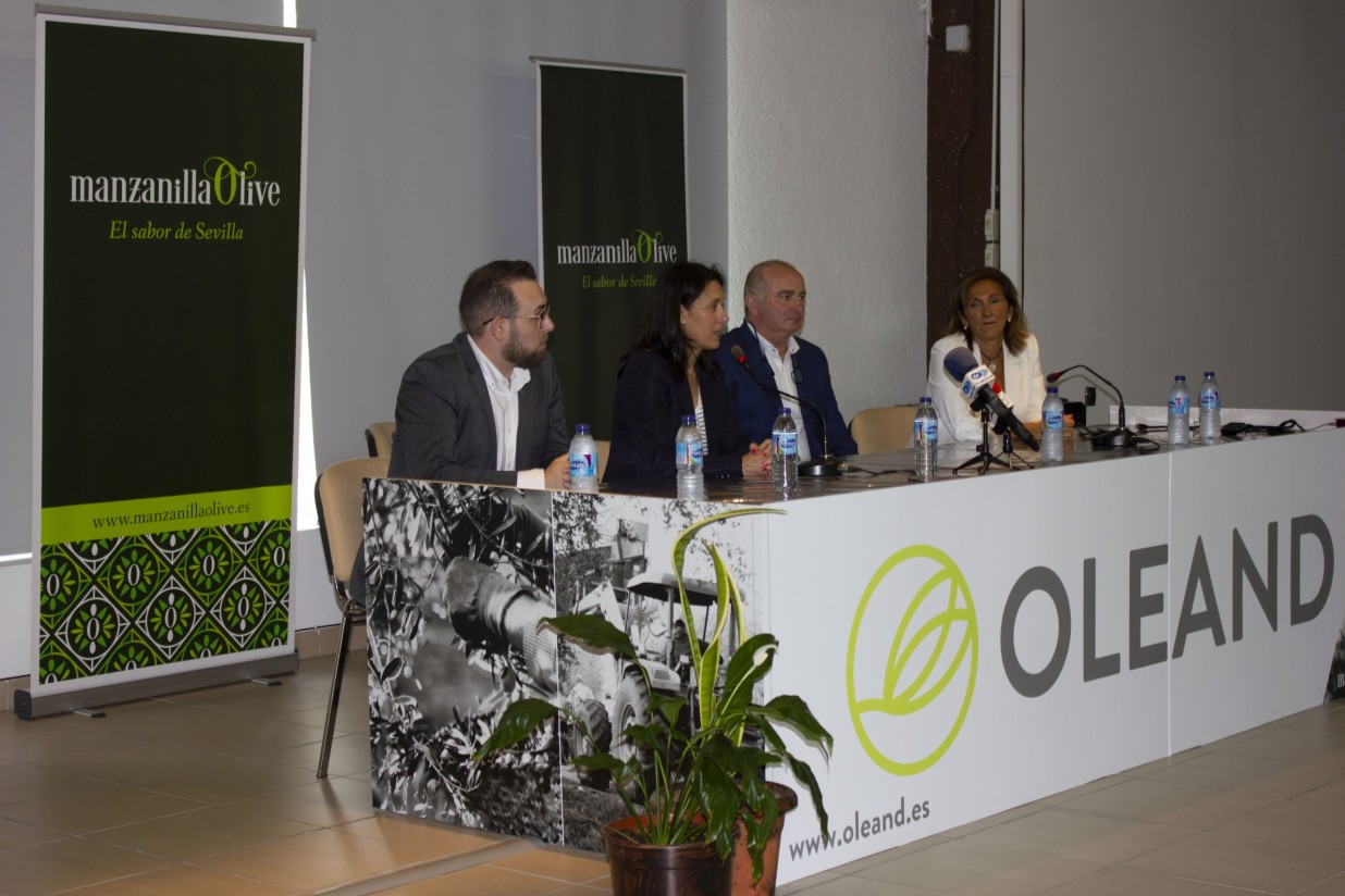 Nace Oleand Manzanilla Olive, la mayor cooperativa de primer grado de aceituna de mesa