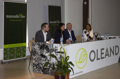 Nace Oleand Manzanilla Olive, la mayor cooperativa de primer grado de aceituna de mesa
