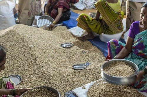 La FAO apunta a un nuevo récord mundial en la factura importadora de alimentos
