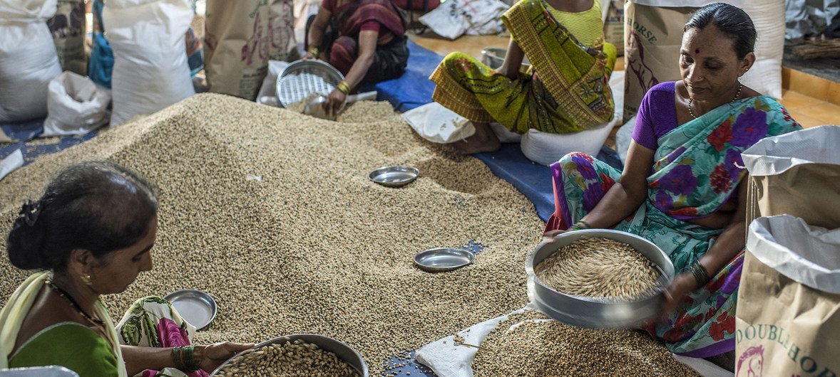 La FAO apunta a un nuevo récord mundial en la factura importadora de alimentos