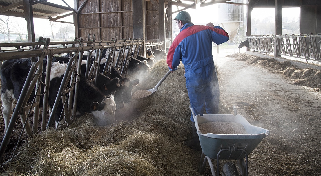 Las CC.AA. podrán destinar hasta 116,6 M€ de los fondos del Feader transitorio 2021-22 en ayudas directas al sector agroalimentario