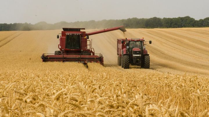 COPA-Cogeca: la producción de cereales en la UE-27 se prevé en 277 Mt en 2022/23, un 4,4% y 13 Mt menos