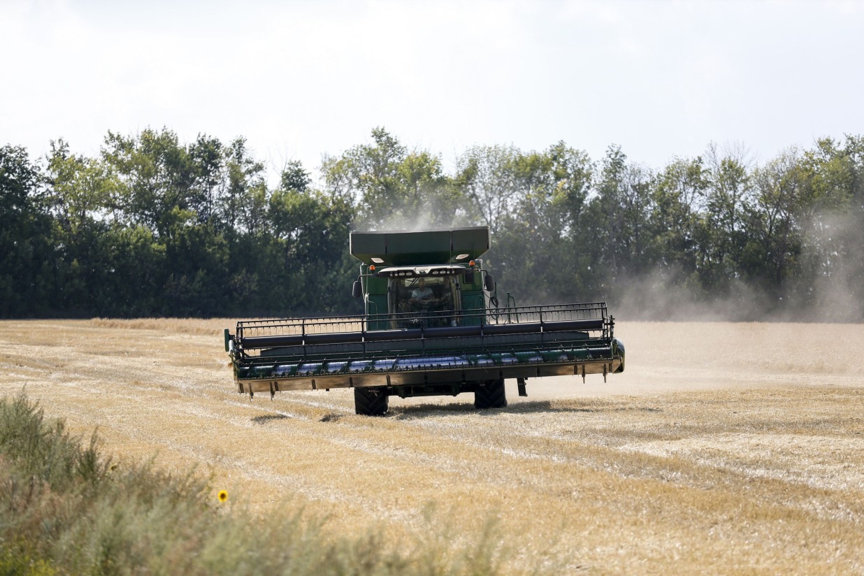 El “granero” de España apenas producirá 5 Mt de cereales de invierno en 2022/23