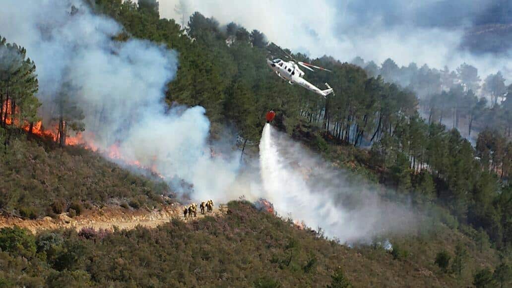 Crecen los incendios forestales en España y COAG reivindica el papel de la ganadería extensiva contra el fuego
