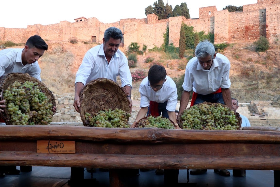 Campaña vitivinícola 2022/23: dos nuevos contratos-tipo homologados de compraventa de uva para vino y de vino