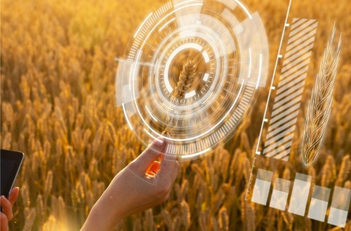 Syngenta lanza una campaña de reclutamiento para su Digital Hub internacional Techfarm que estará ubicado en Madrid