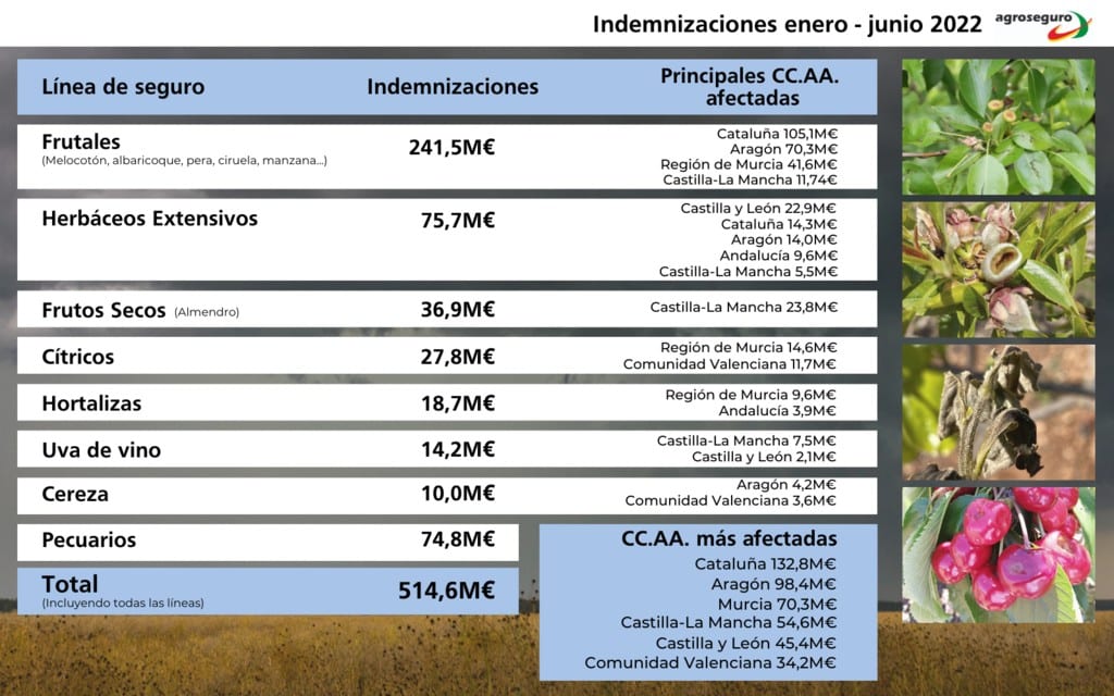 Casi 515 M€ de indemnizaciones estimadas por siniestros del seguro agrario en el primer semestre de 2022