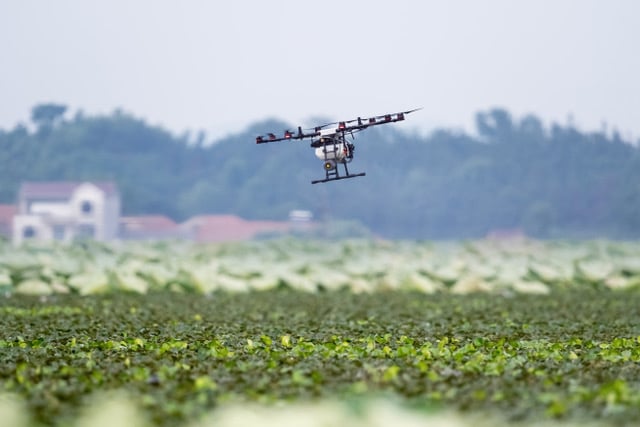 Preocupación del sector hortofrutícola europeo por la propuesta de la CE para reducir un 50% el uso de fitosanitarios en 2030