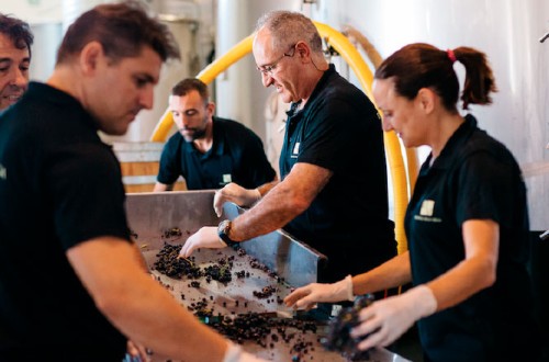 Extremadura y Valencia consiguen por primera vez representación en el Consejo Regulador de la DOP Cava