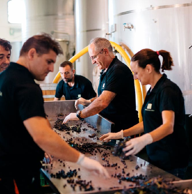 Extremadura y Valencia consiguen por primera vez representación en el Consejo Regulador de la DOP Cava