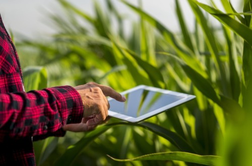 El MAPA y Cajamar amplían el presupuesto del Observatorio de Digitalización en el Sector Agroalimentario