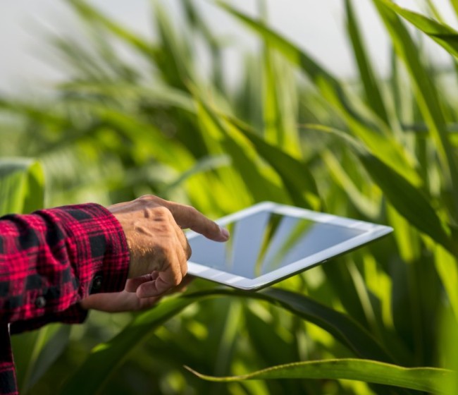 El 80% de los profesionales del sector agroalimentario solo hacen uso de tecnologías digitales comunes
