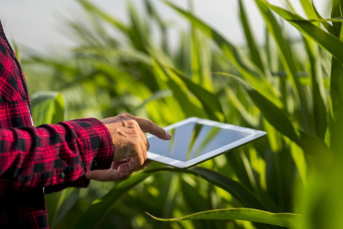 El 80% de los profesionales del sector agroalimentario solo hacen uso de tecnologías digitales comunes