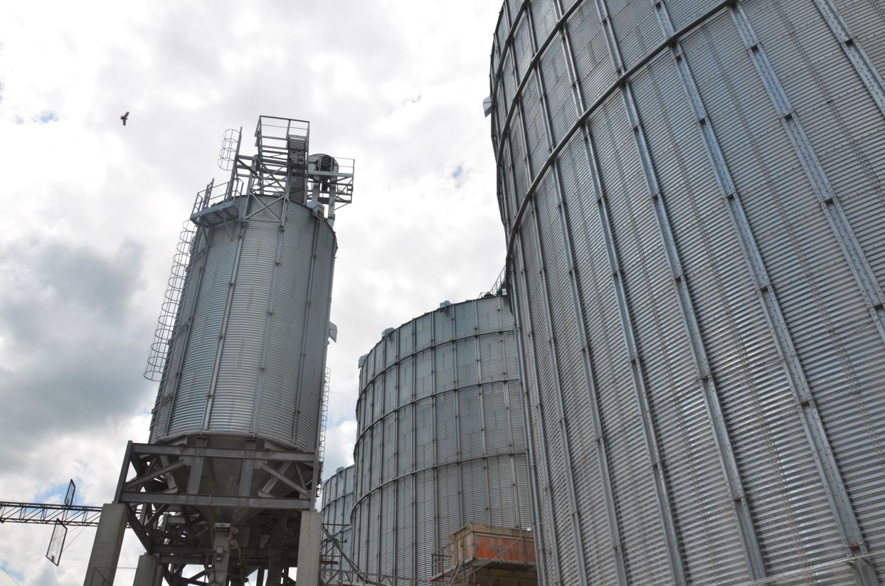 La FAO intensifica esfuerzos para salvar la próxima cosecha y garantizar la exportación de grano de Ucrania