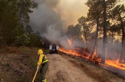 La Unión de Agricultores de Castilla-La Mancha apunta irregularidades en Geacam