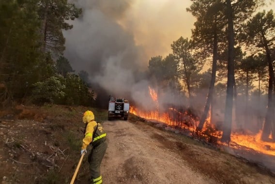 Más de 18.229 hectáreas de explotaciones agrarias han sido calcinadas en lo que va de año