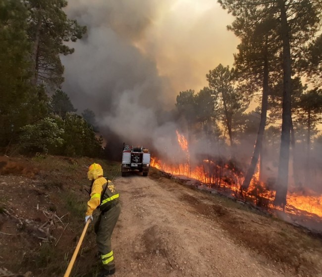 Más de 18.229 hectáreas de explotaciones agrarias han sido calcinadas en lo que va de año