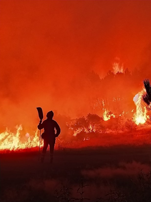 Gestión forestal y ganadería extensiva o una PAC sin ganaderos profesionales. Por Joaquín Gargallo