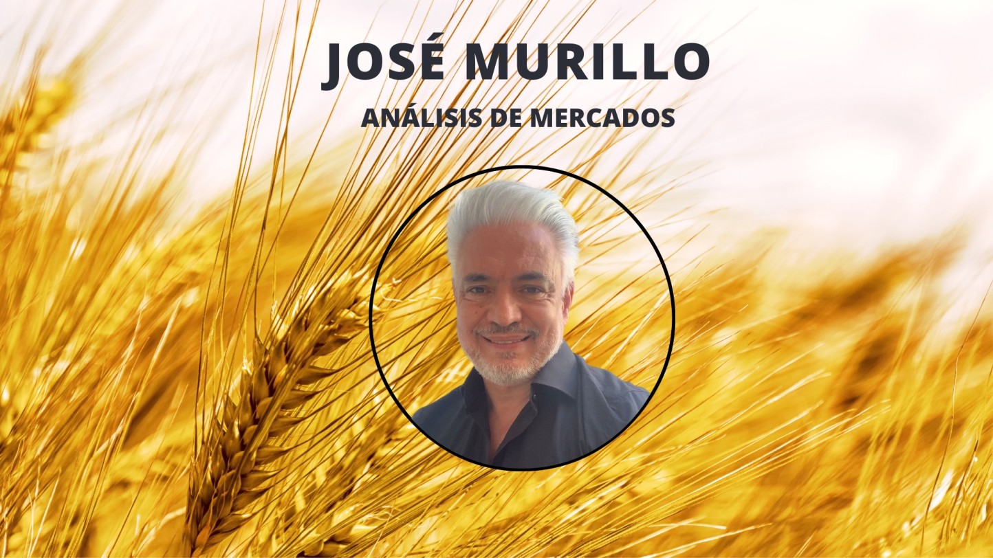 Análisis semanal del mercado de cereales. Por José Murillo