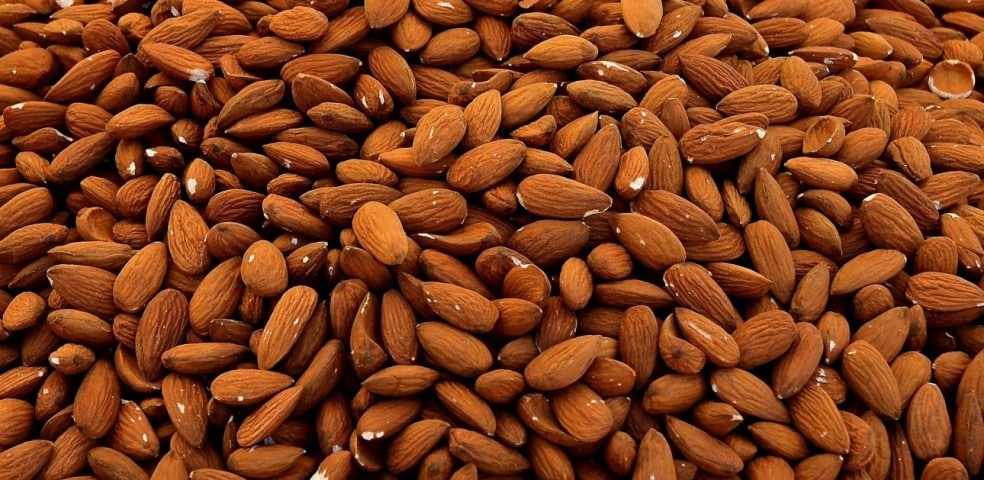 Cosecha de almendra