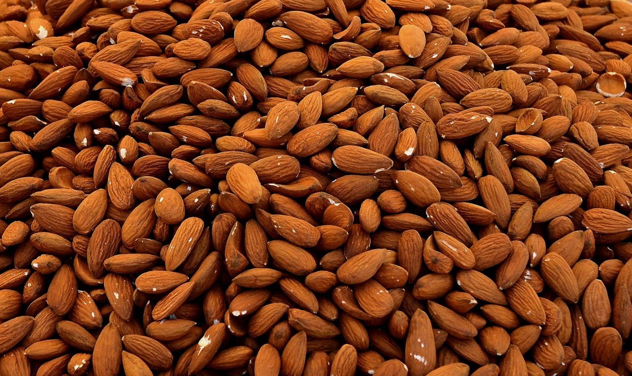 La producción de almendra alcanzará en la campaña 2024/2025 un total de 373.558 toneladas, un 17,5% más que en la anterior