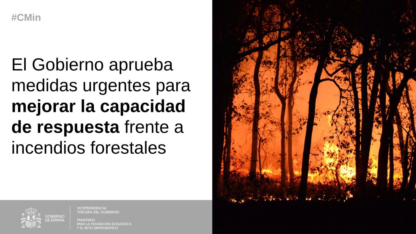 Medidas urgentes para responder mejor frente a los incendios forestales durante todo el año