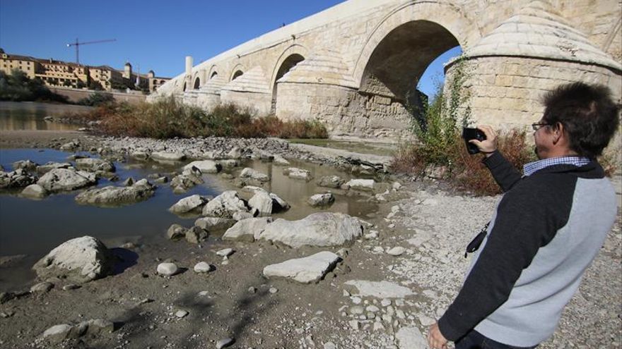 Andalucía vuelve a pedir al Gobierno la convocatoria urgente de la Mesa Nacional de la Sequía