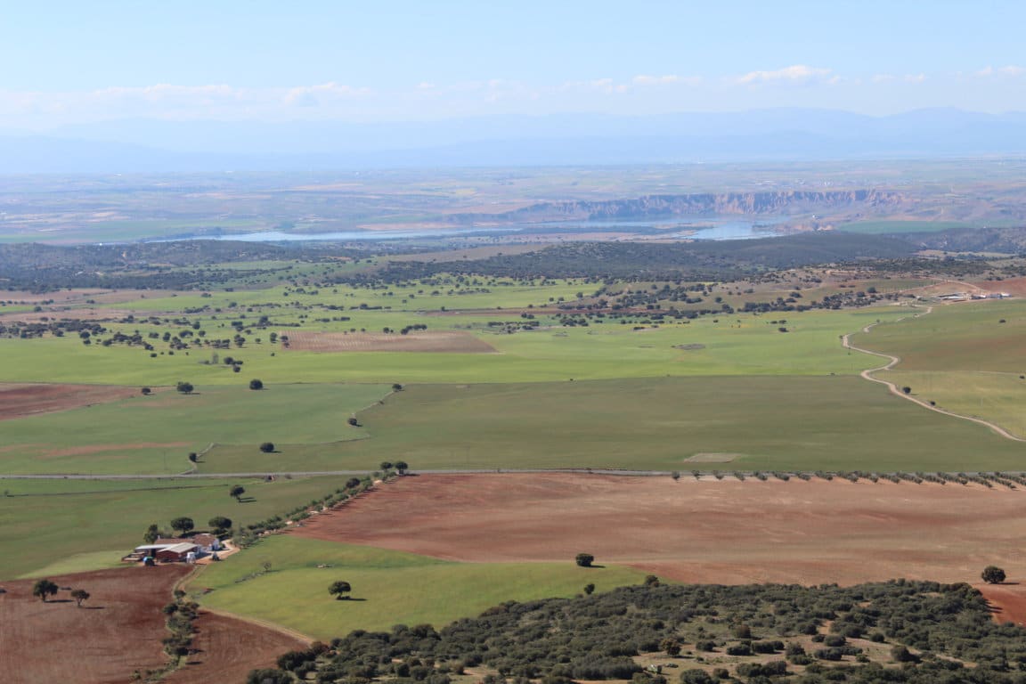 «La PAC de España» se aprueba lejos de las necesidades de crisis climática actual. Por Fundación Global Nature