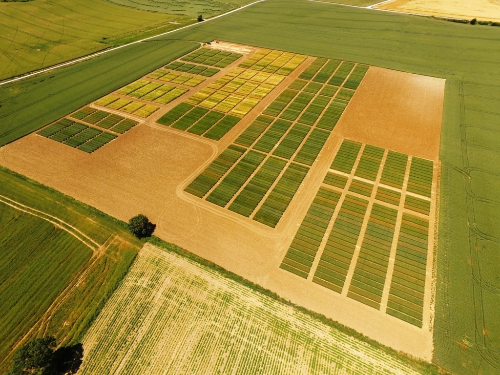 El MAPA aumenta los precios de los cultivos herbáceos para calcular las indemnizaciones de los seguros