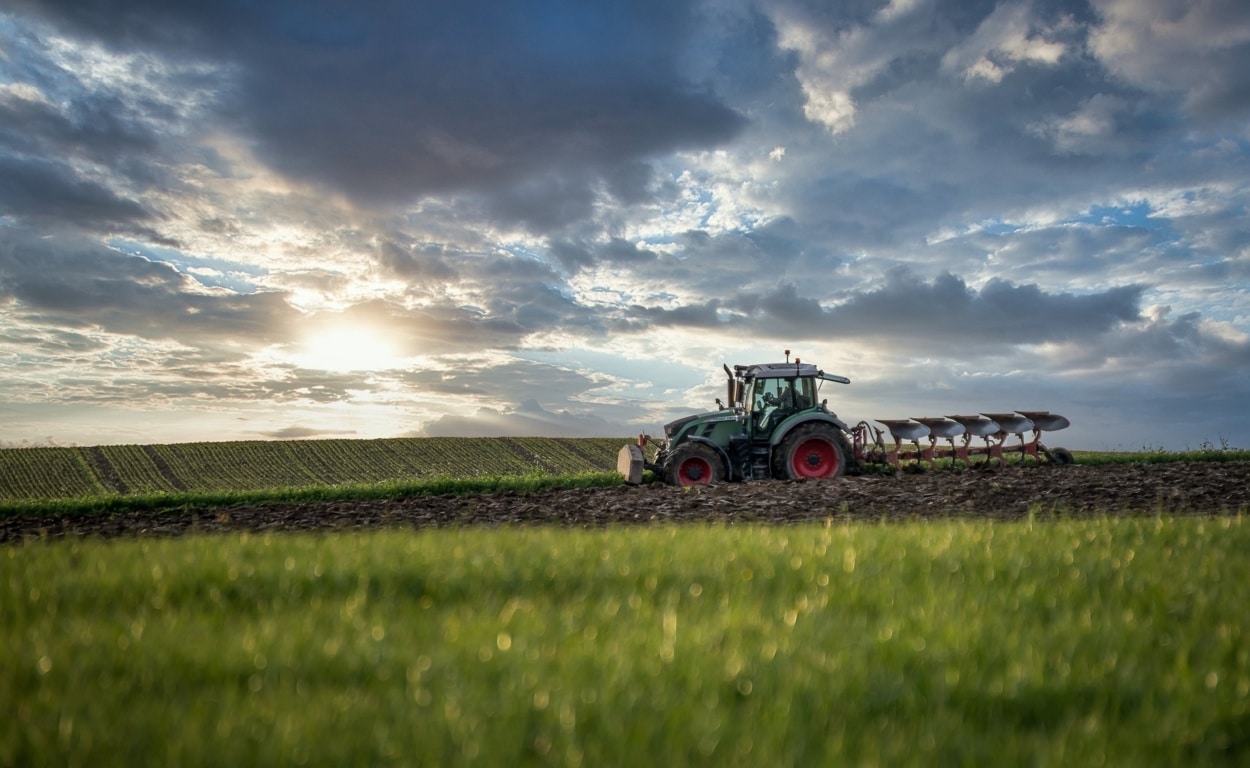 Los precios pagados por los bienes y servicios agrarios subieron un 40,2% de media anual en junio